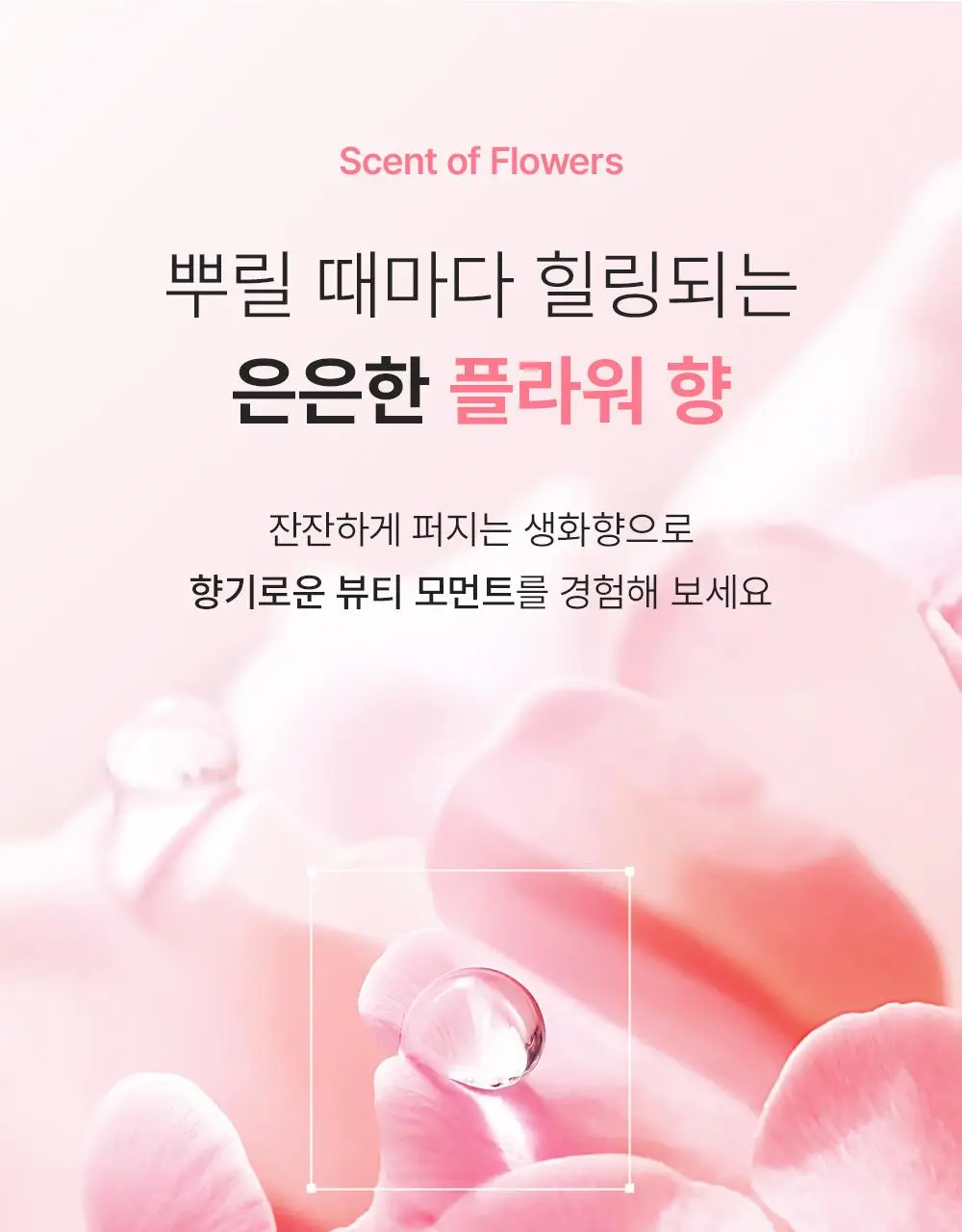 [겉쫀속촉/화잘먹] 웰더마 PDRN 엑소좀 젤리 겔 미스트 100ml 상세페이지 47